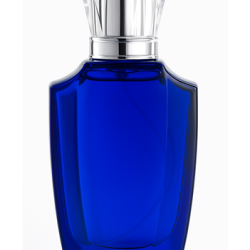  تركيبة عطر فاين بلو 