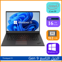 Lenovo ThinkPad T490S
